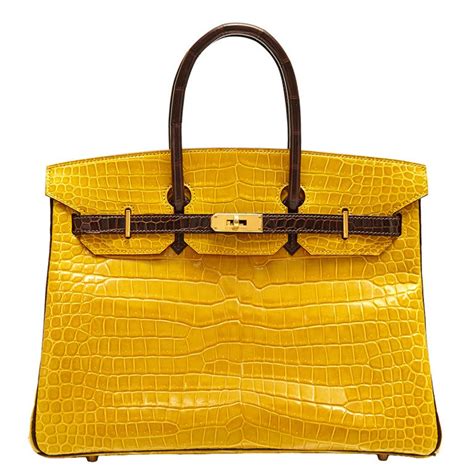 hermes croc colors|hermes crocodile pores.